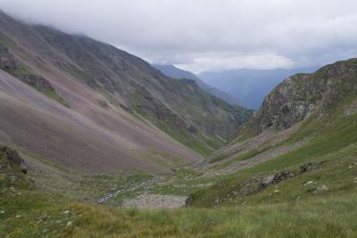 Прикрепленное изображение: DSC_0135.jpg